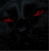 صورة الـavatar