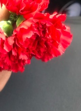 Guest_6lockaaa