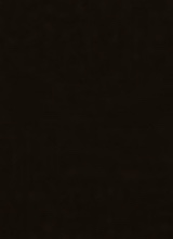 Guest_ralu3810