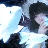 Guest_sunshinene3