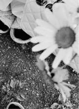 Guest_Jesika997102