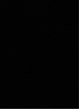 immagine avatar