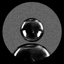 Guest_sophilencar008