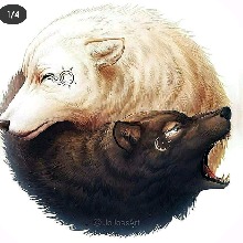 WOLF268269
