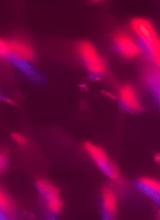 Guest_Sphanie2