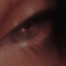 Guest_AnnWTR
