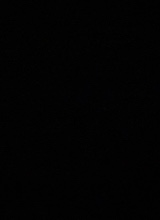 Guest_DrayDaOne23
