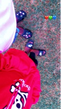 Guest_DENO2234