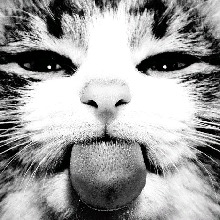 Guest_Melany859158