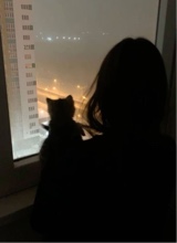 Guest_Mell6666