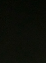 Guest_ellol39