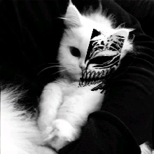 Guest_Judas826638