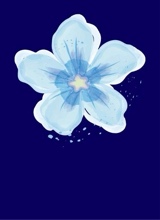 Guest_nany237561