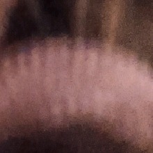 Guest_Maddie694084