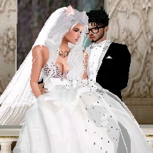 Guest_lion241