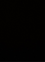 immagine avatar