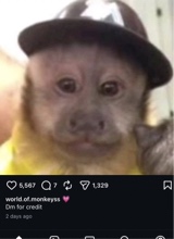 Guest_Theyyhearttnae
