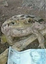 Russian