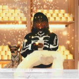 Guest_dj196696