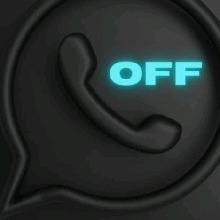 foto del avatar