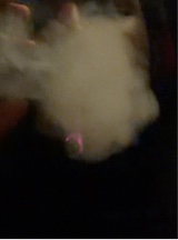Guest_fgmjayyy