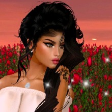 Guest_Ajle3