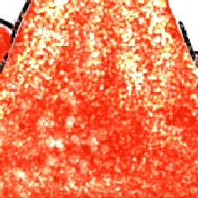Guest_slicklilfox12