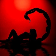 Scorpioboutthatlife