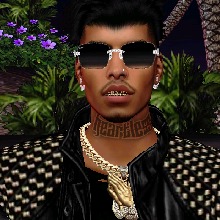 Henriquetrem21