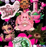 immagine avatar