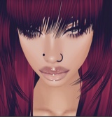 Guest_Haley841730