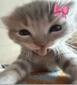 Guest_Chinaxd