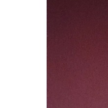 Guest_8272i