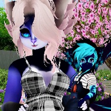 Guest_Serena715635