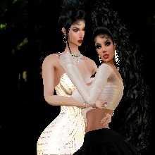 amoracollins