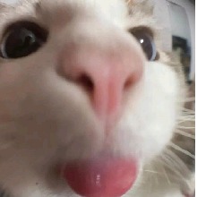 Guest_Scoootscooot