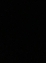Guest_Sunflowaa