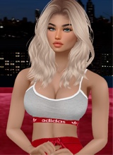 avatar-billede