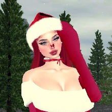 Guest_Alo171