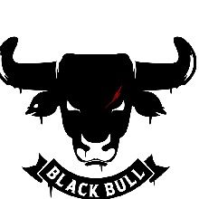 Bull37