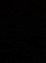 Guest_Muri24