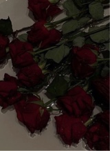 Guest_Coco5678