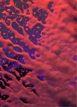 Guest_woccst4r