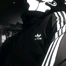 immagine avatar
