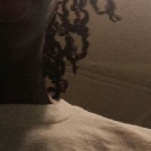 Guest_backwooqs