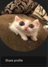 Guest_lvnvvv