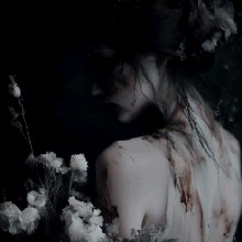 Guest_Vyu4