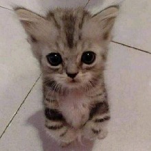 lMiko