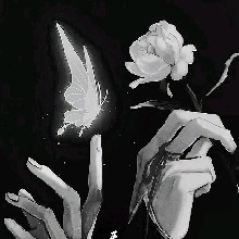 immagine avatar