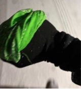 Guest_YungNuke